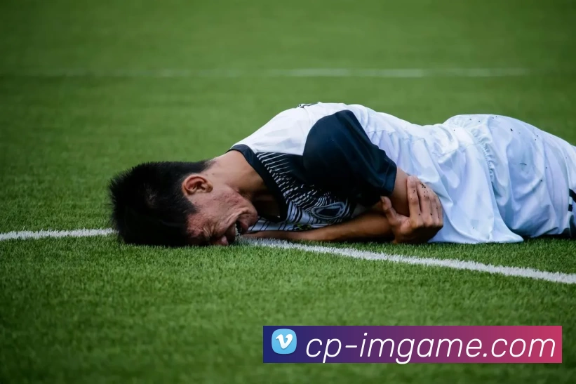 IM电竞官网全站App